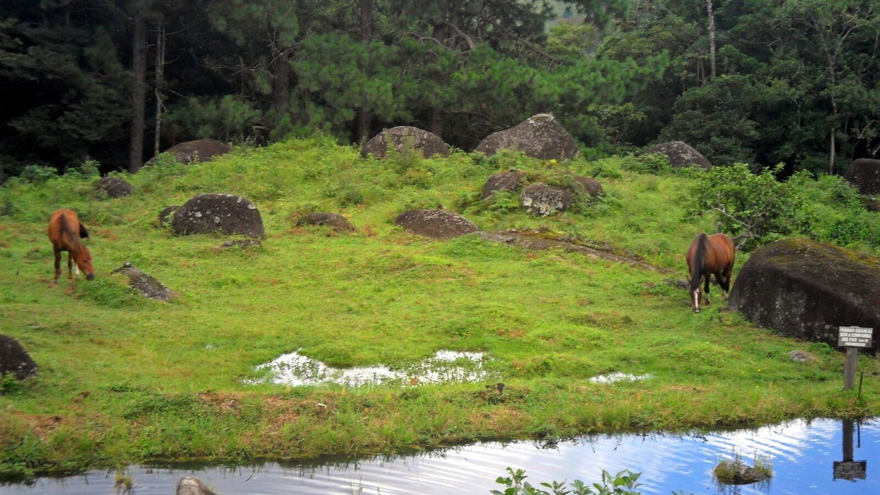Photo of Outdoor in Sao Jose dos Campos