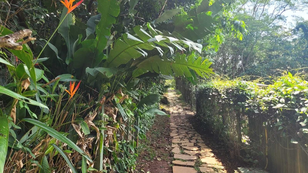 Photo of Outdoor in Praia do Pauba