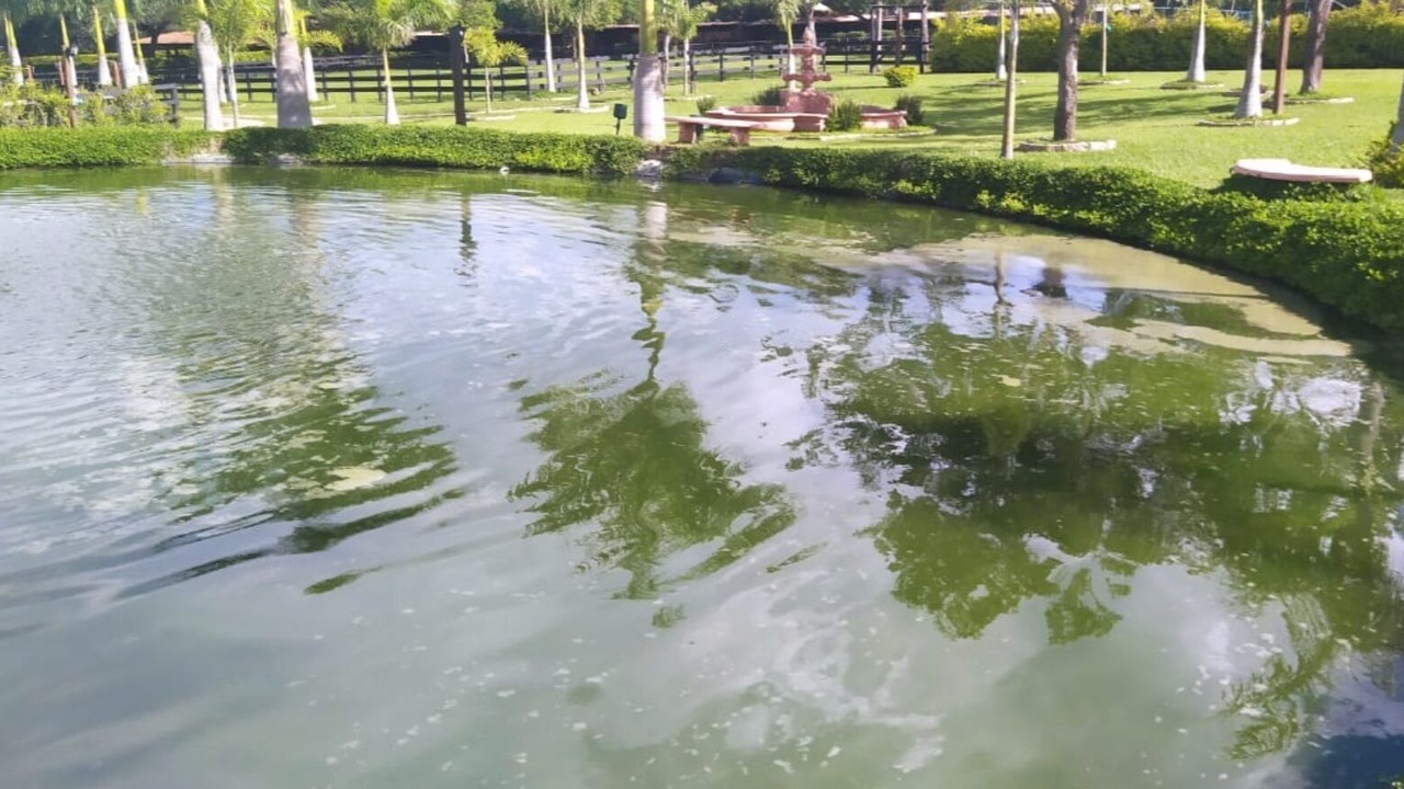 Photo of Outdoor in Salto