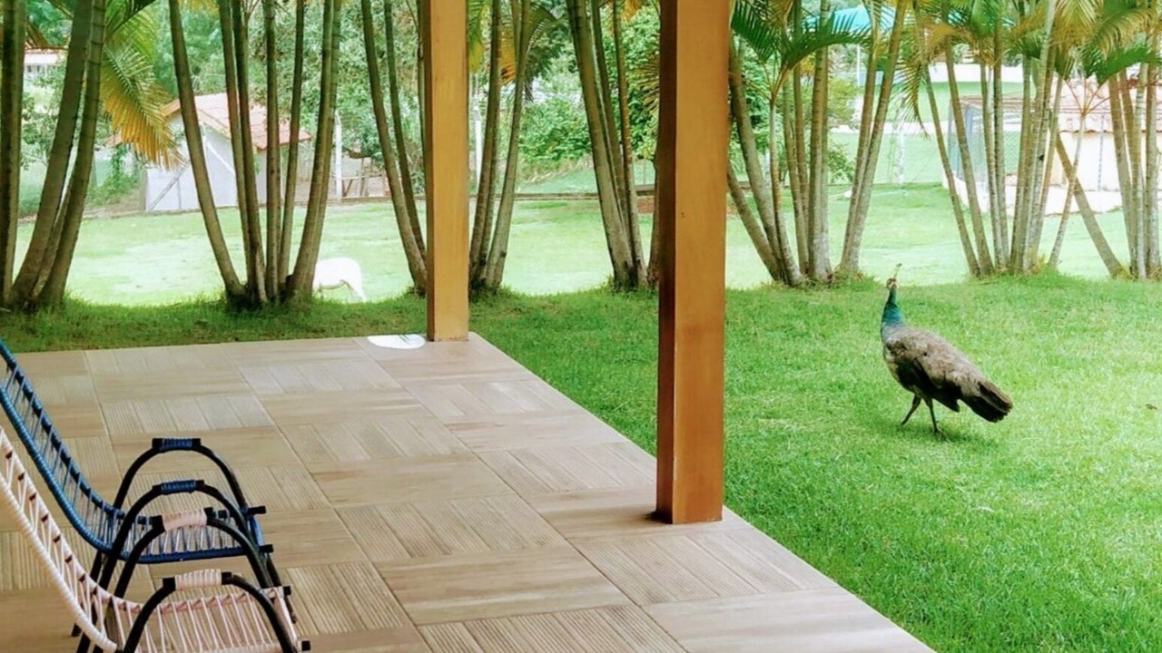 Photo of Patio Balcony in Salto