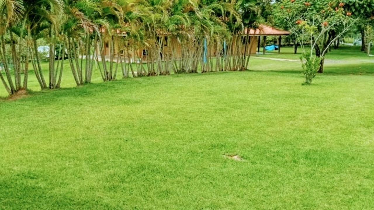 Photo of Outdoor in Salto