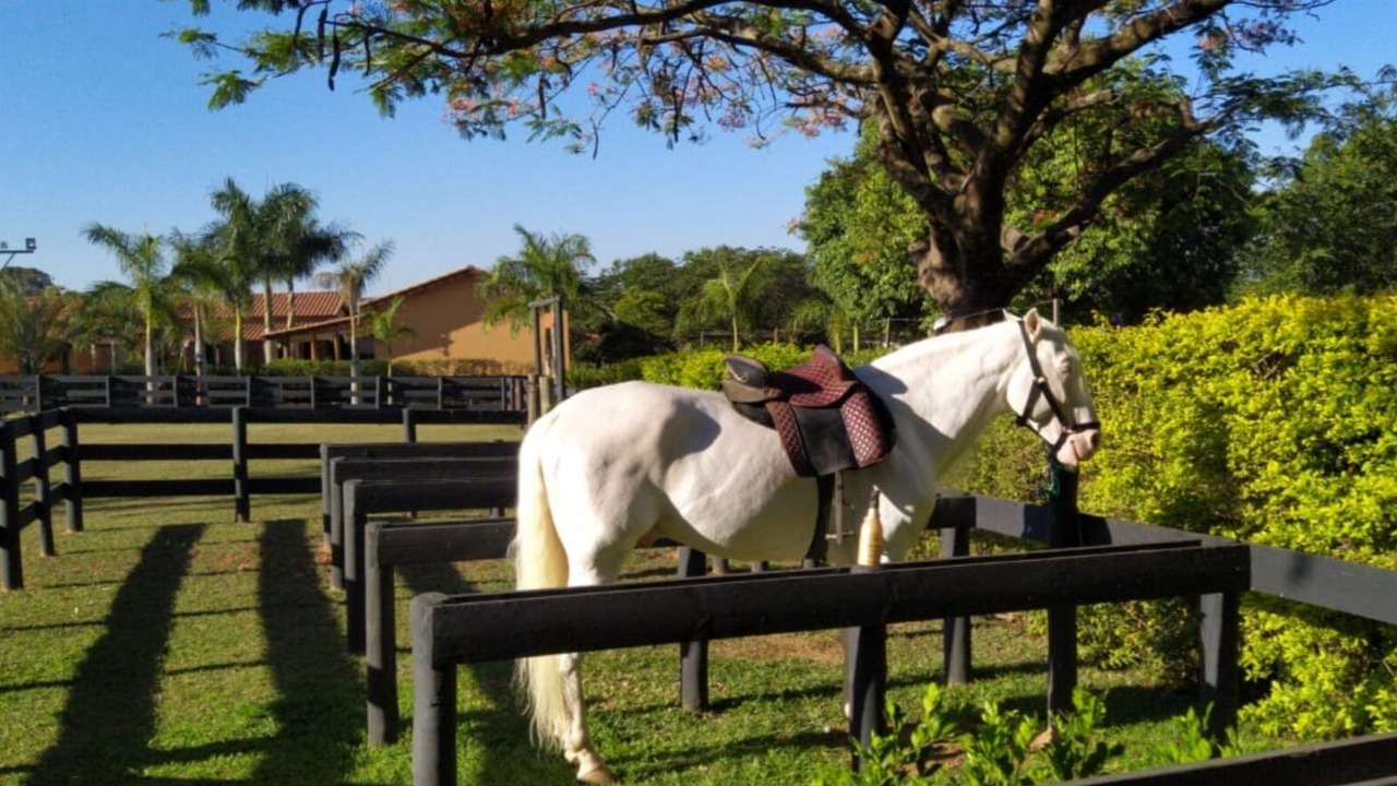 Photo of Outdoor in Salto