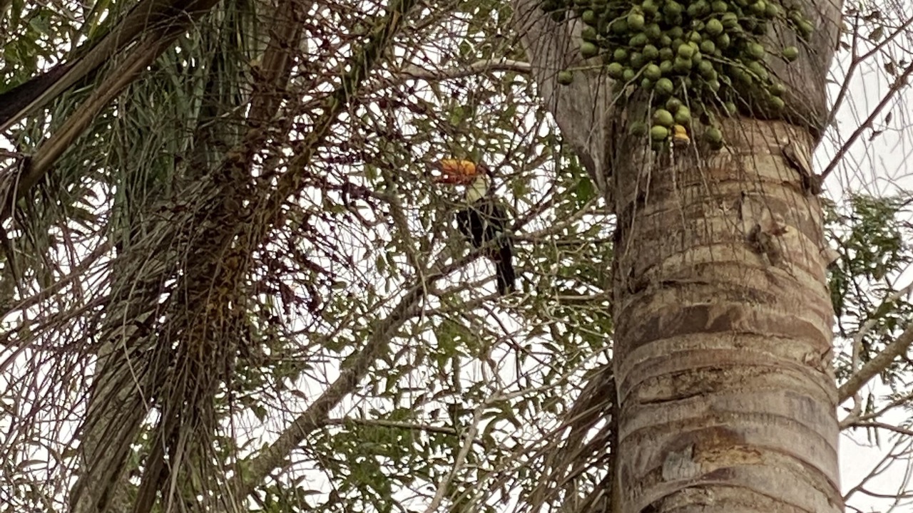 Photo of Outdoor in Avare