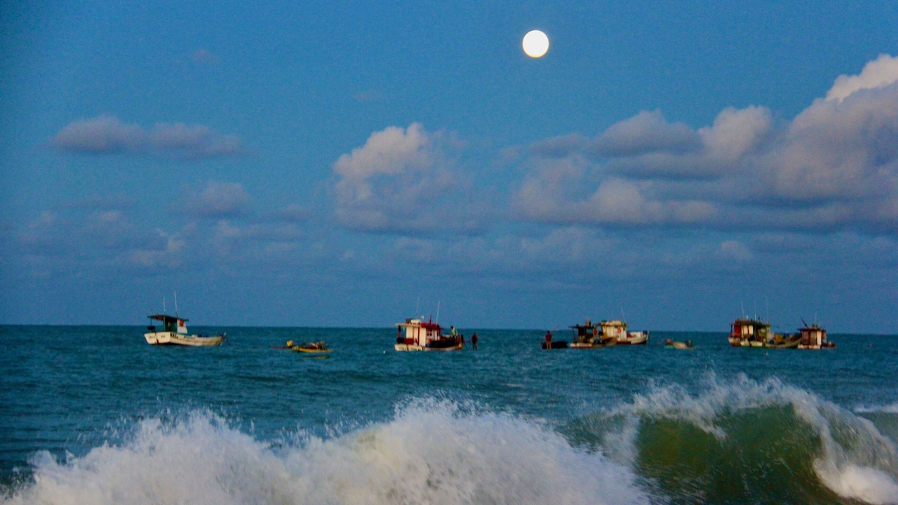 Photo of Others in Sao Miguel de Touros