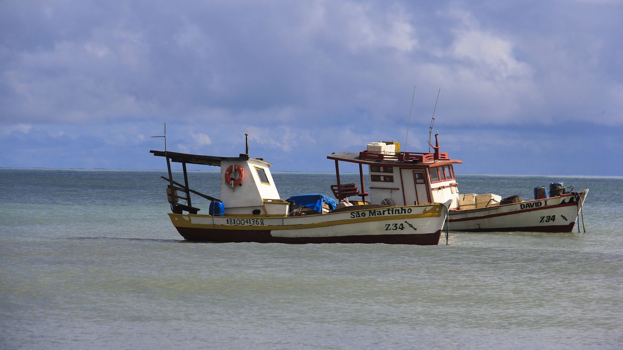 Photo of Others in Sao Miguel de Touros