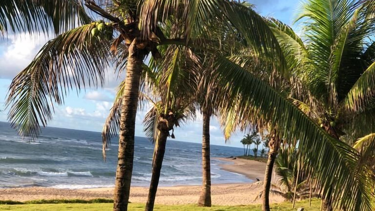 Photo of Outdoor in Itacimirim