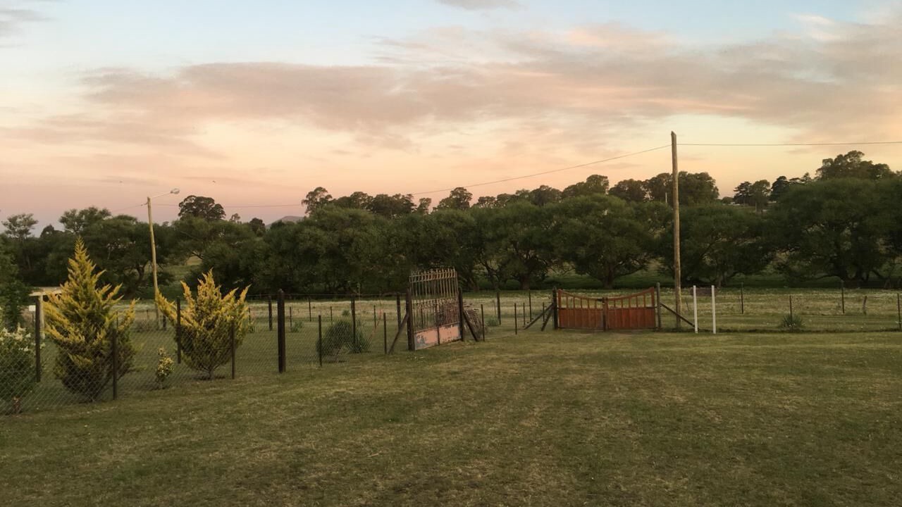 Photo of Others in Tandil