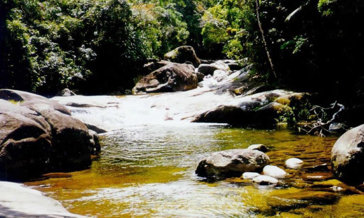Photo of Others in Mococa