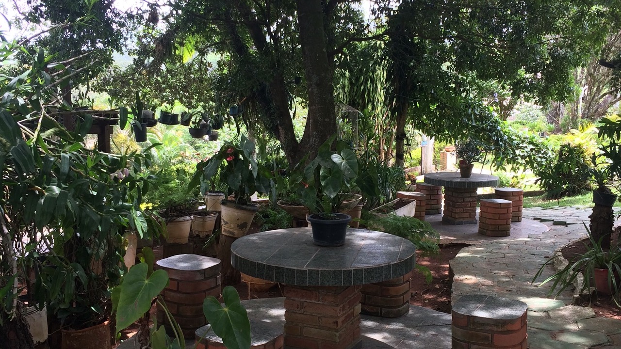 Photo of Outdoor in Braganca Paulista