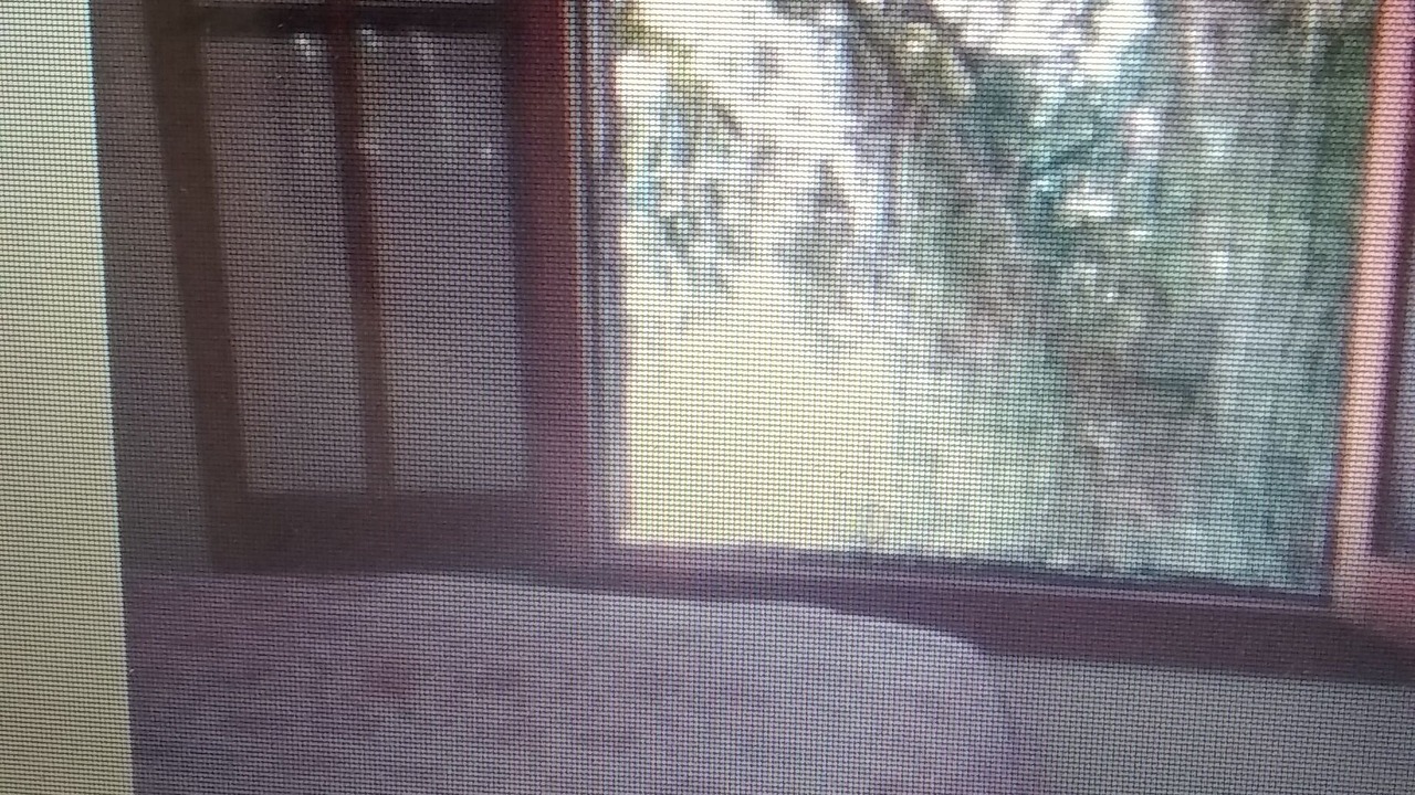 Photo of Bedroom in Ilhabela