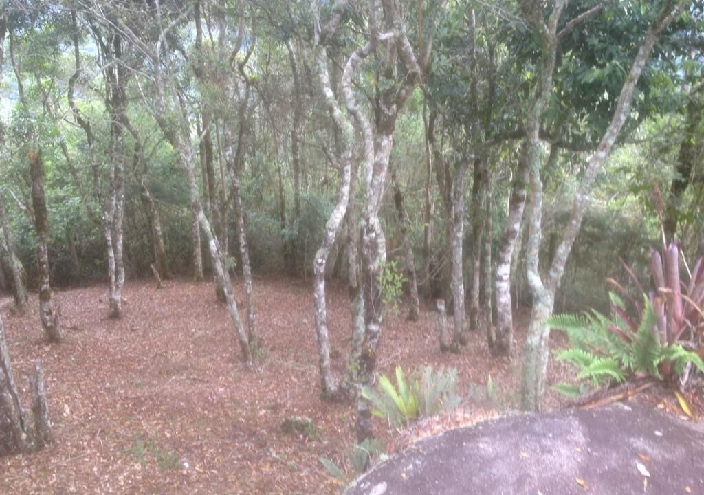 Photo of Outdoor in Campos do Jordao