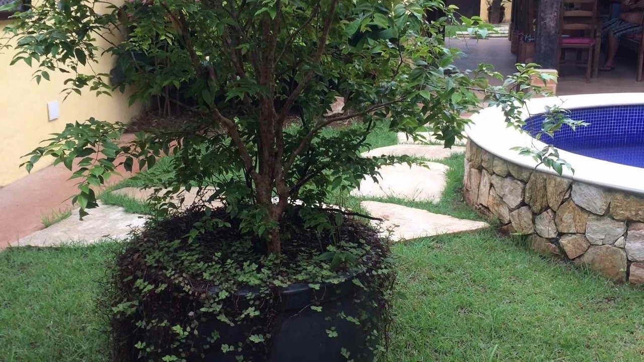 Photo of Outdoor in Barra do Sahy