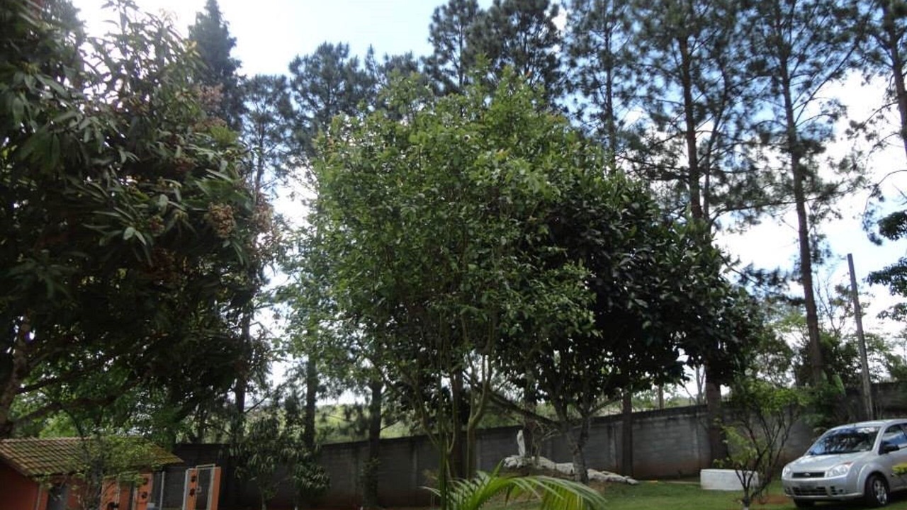 Photo of Outdoor in Ibiuna