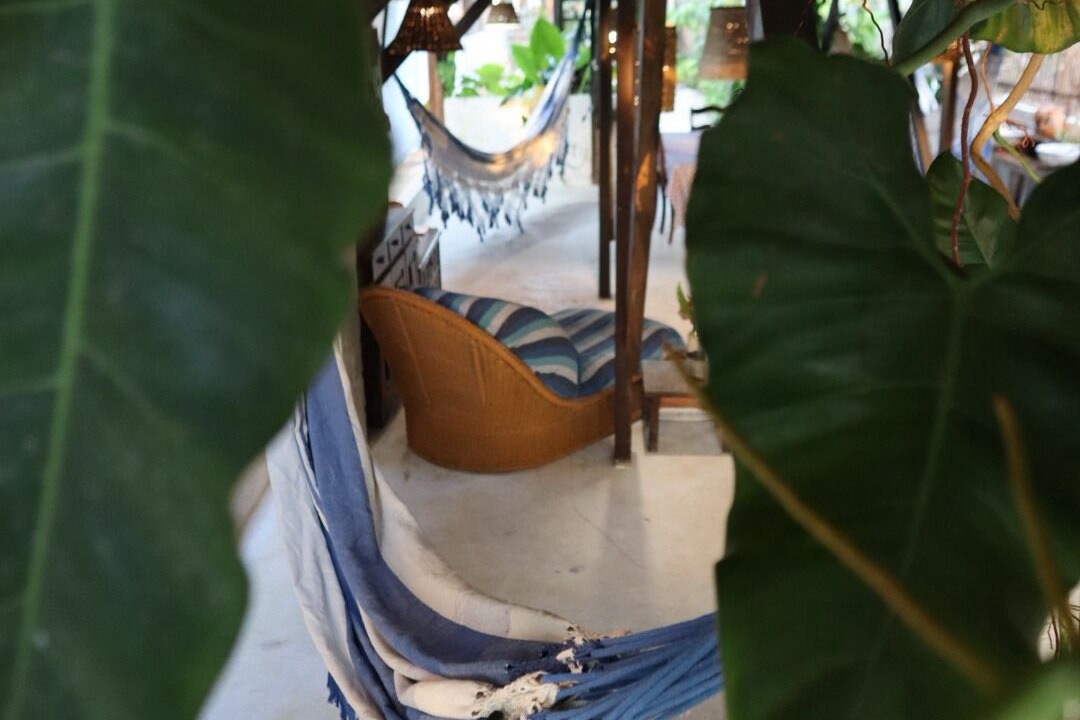 Photo of Outdoor in Barreirinhas