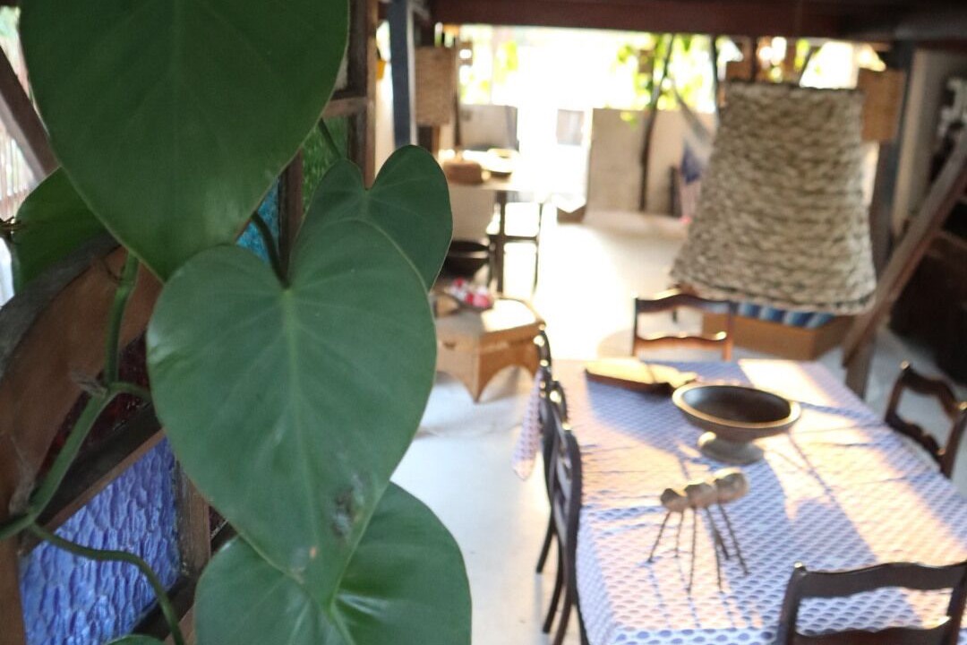 Photo of Outdoor in Barreirinhas