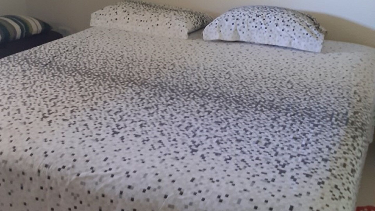 Photo of Bedroom in Prado