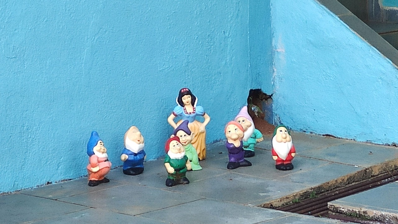 Photo of Outdoor in Braganca Paulista