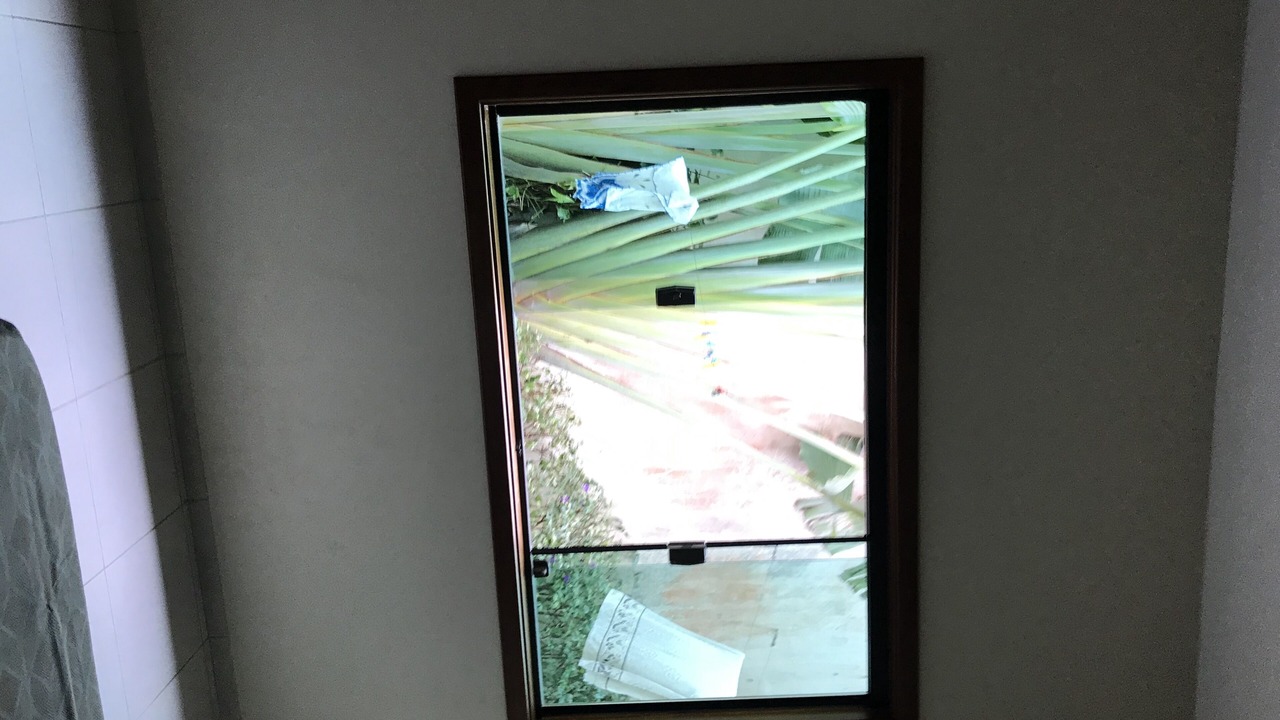 Photo of Others in Praia da Enseada