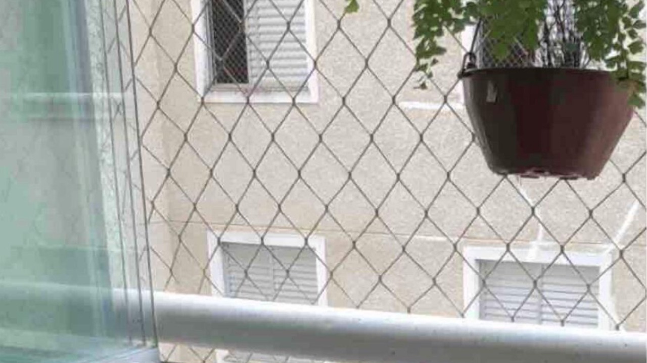 Photo of Others in Sao Jose dos Campos
