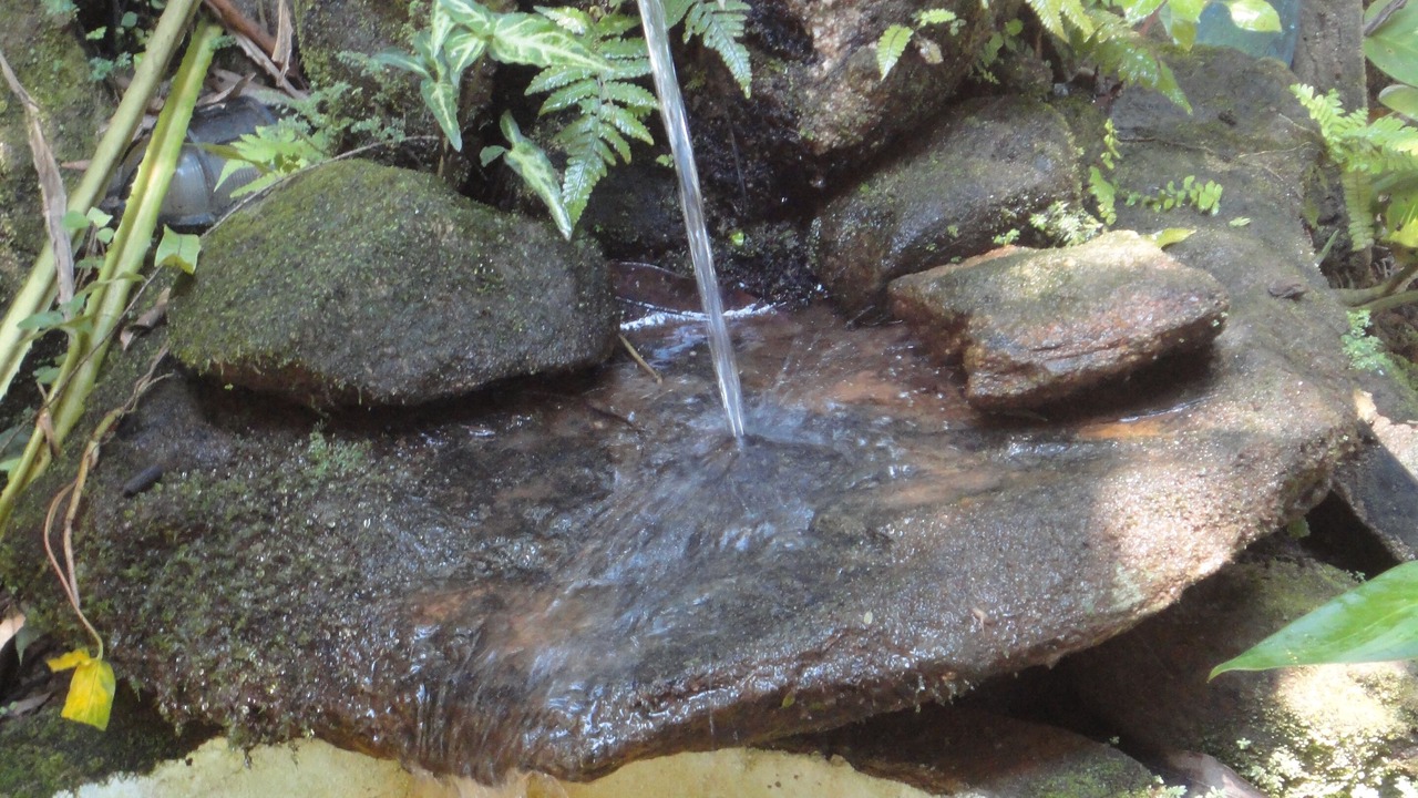 Photo of Outdoor in Sao Sebastiao