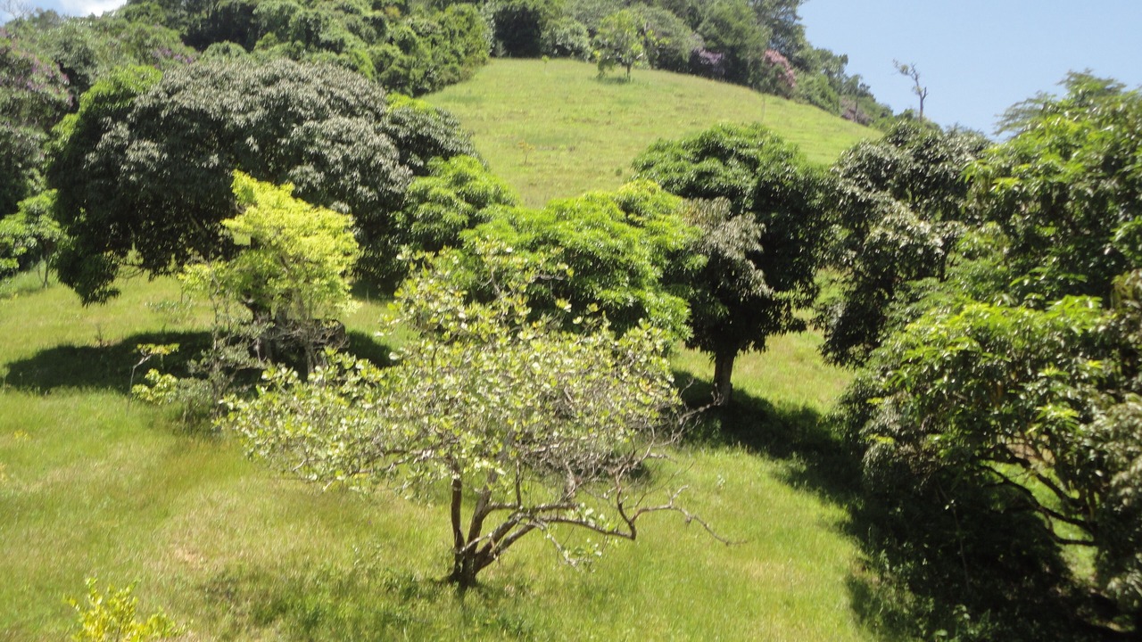 Photo of Others in Sao Sebastiao