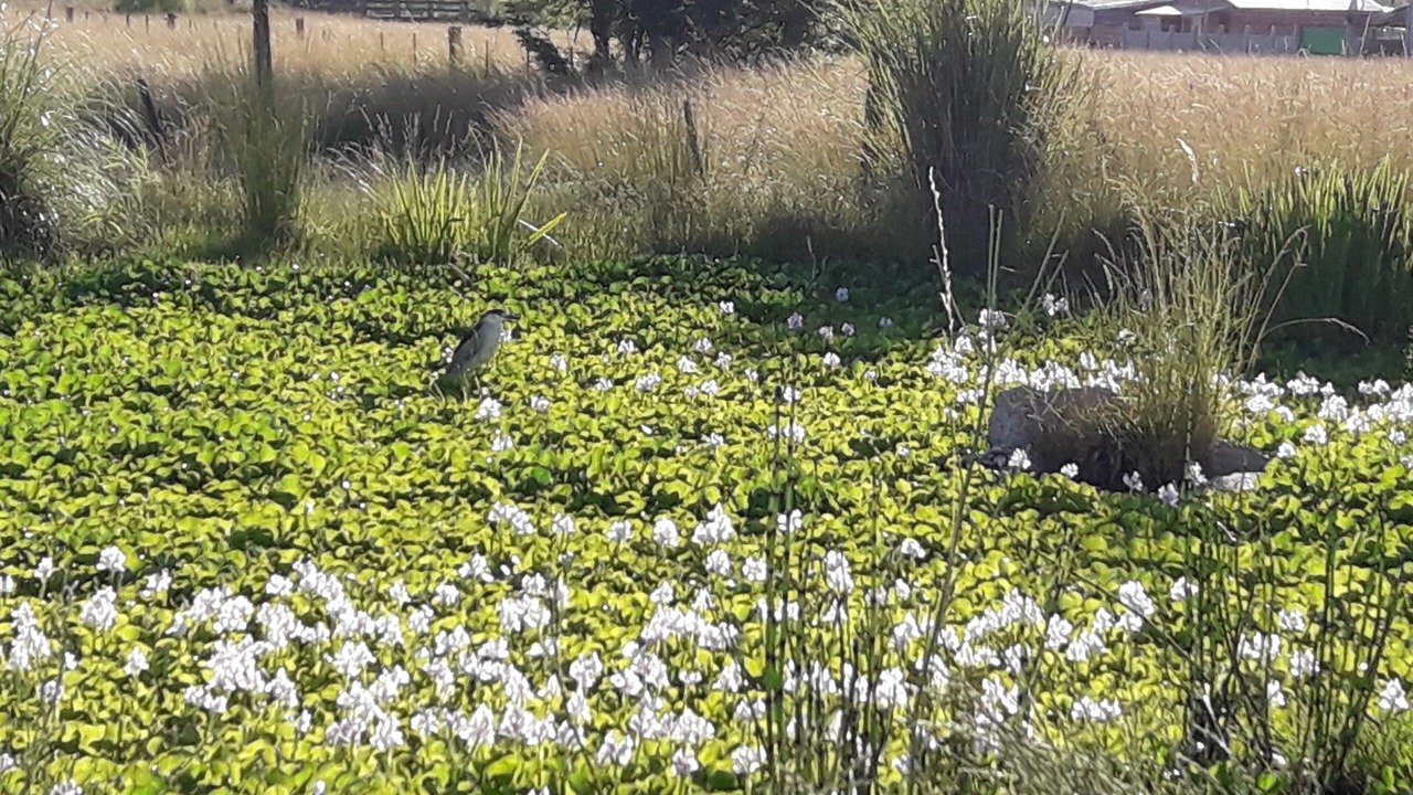 Photo of Outdoor in Canuelas