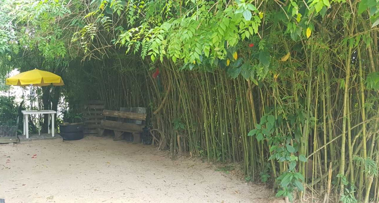 Photo of Outdoor in Praia do Rosa