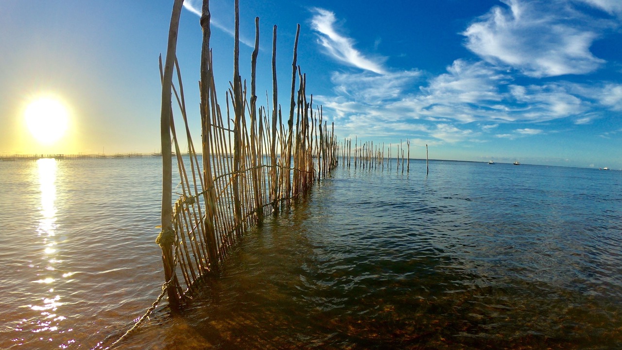 Photo of Others in Barra Grande