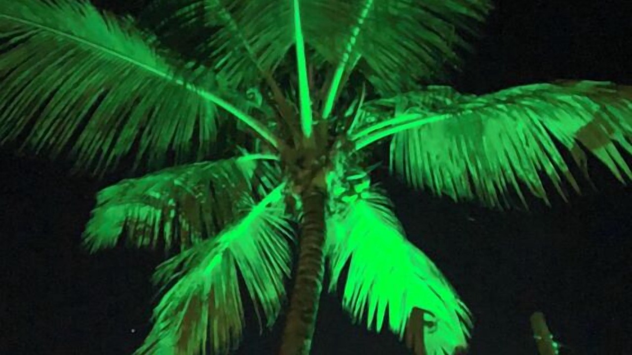 Photo of Others in Barra Grande