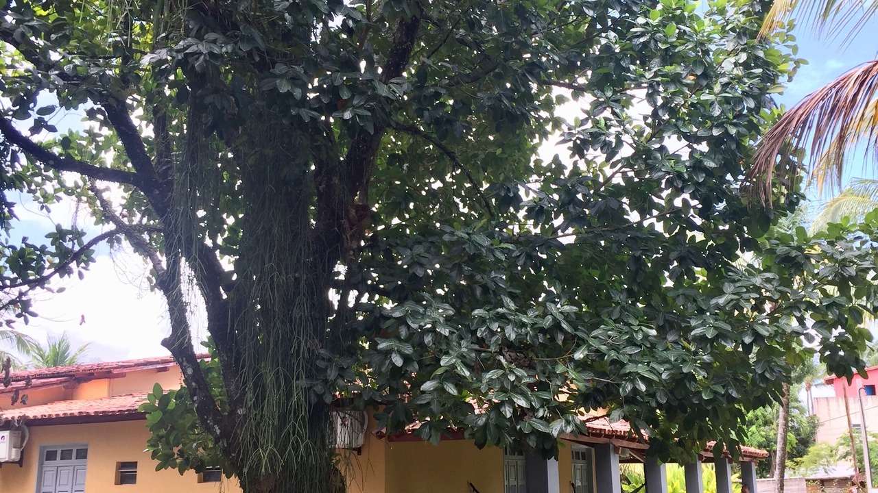 Photo of Outdoor in Barra Grande