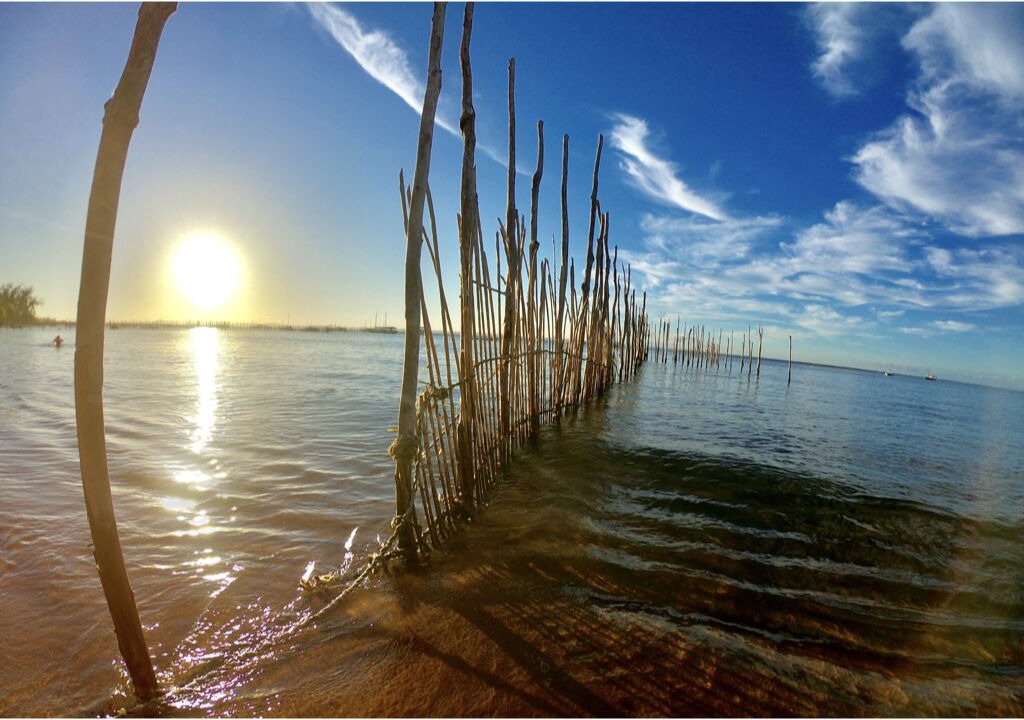 Photo of Others in Barra Grande