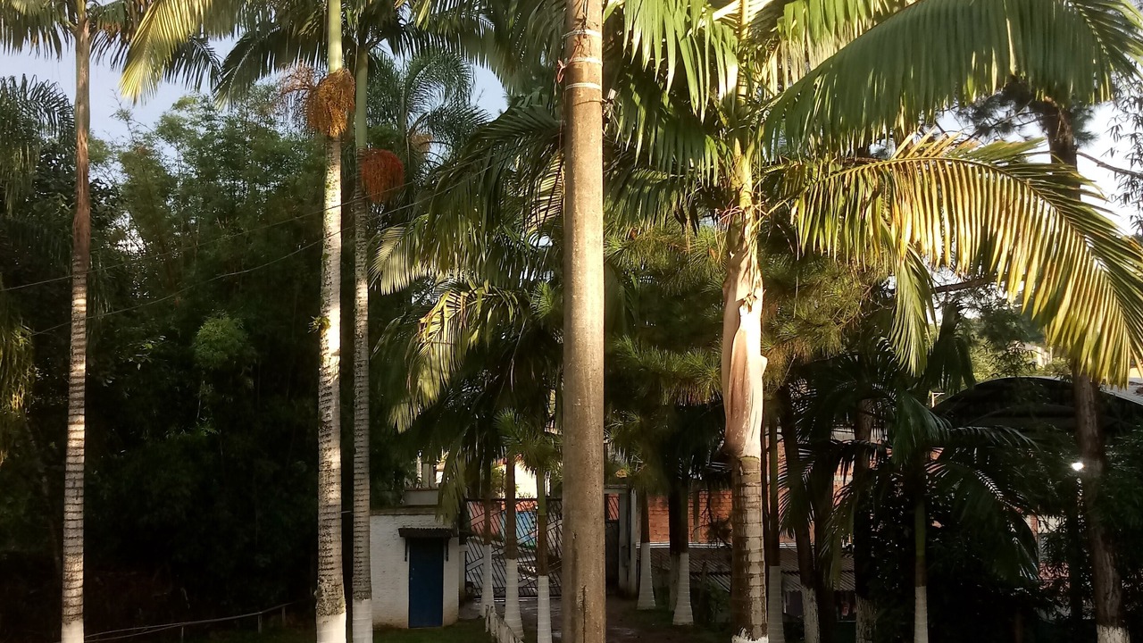 Photo of Outdoor in Sao Lourenco da Serra