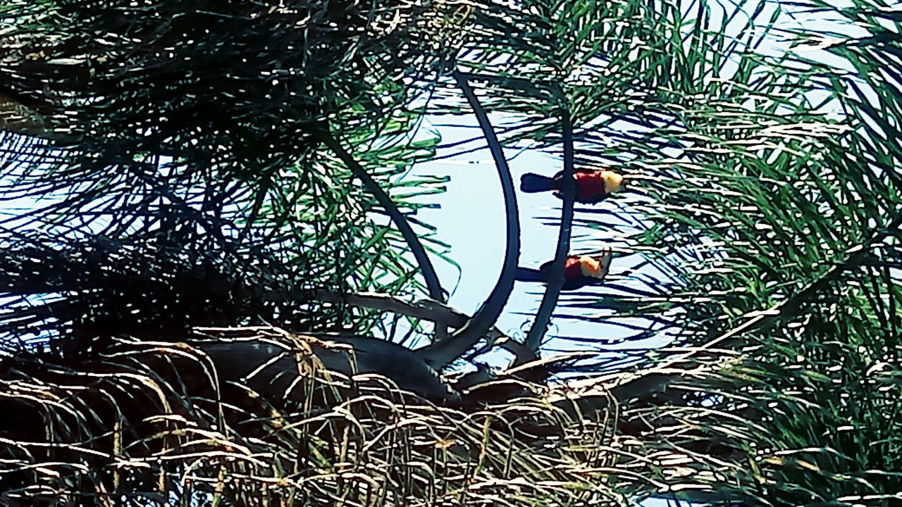 Photo of Outdoor in Sao Lourenco da Serra