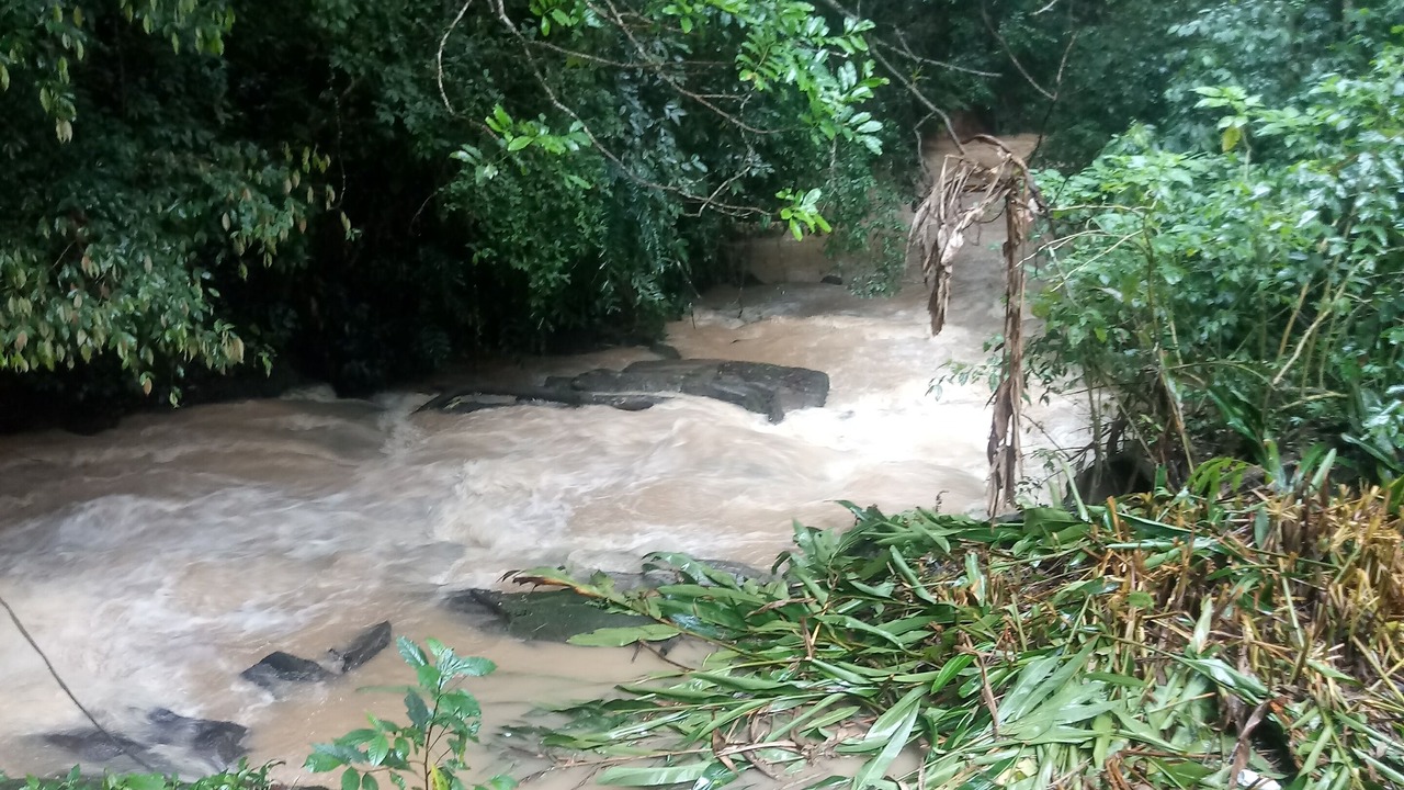 Photo of Outdoor in Sao Lourenco da Serra