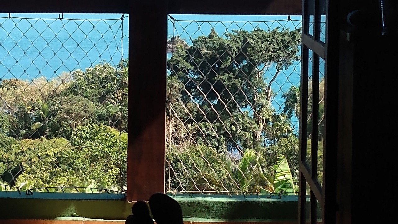 Photo of Others in Praia Grande