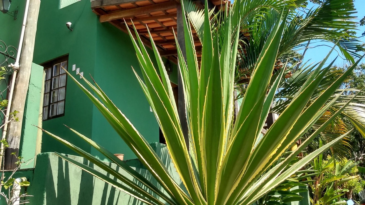 Photo of Outdoor in Praia Grande