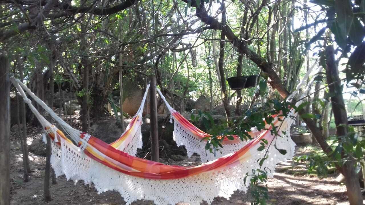 Photo of Outdoor in Parque dos Cafezais II