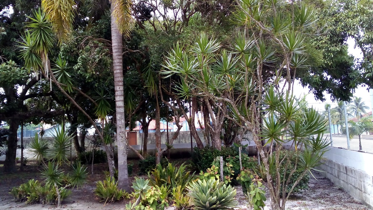 Photo of Outdoor in Peruibe