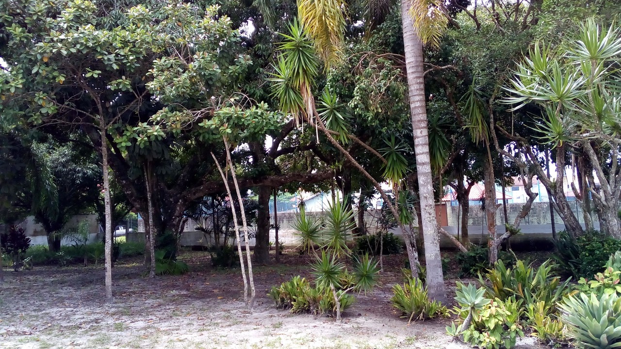Photo of Outdoor in Peruibe