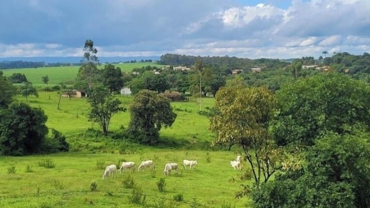 Photo of Others in Piracicaba