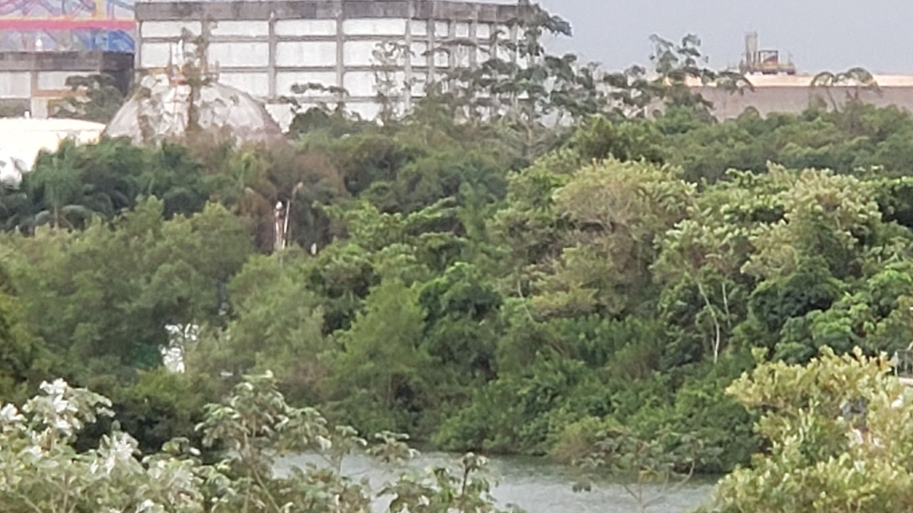 Photo of Outdoor in Jardim dos Passaros