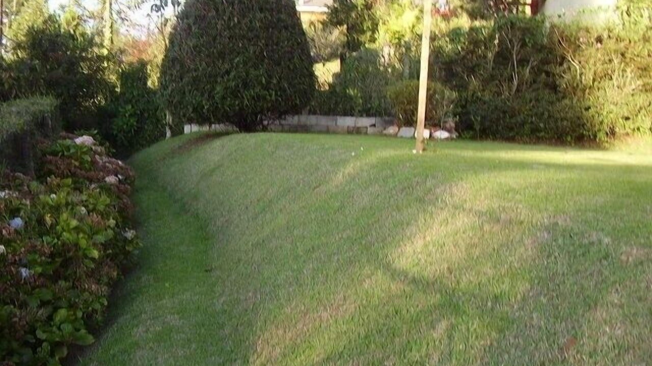 Photo of Outdoor in Jardim Nova Suica