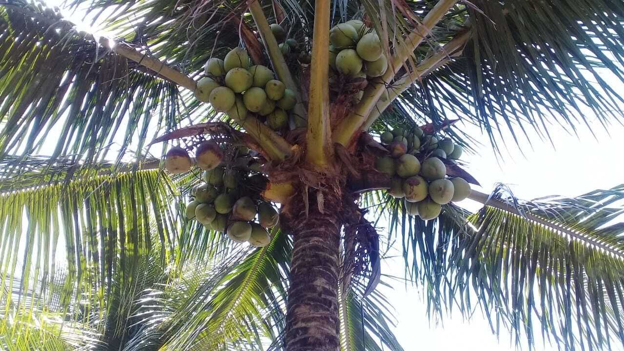 Photo of Outdoor in Canto do Mar