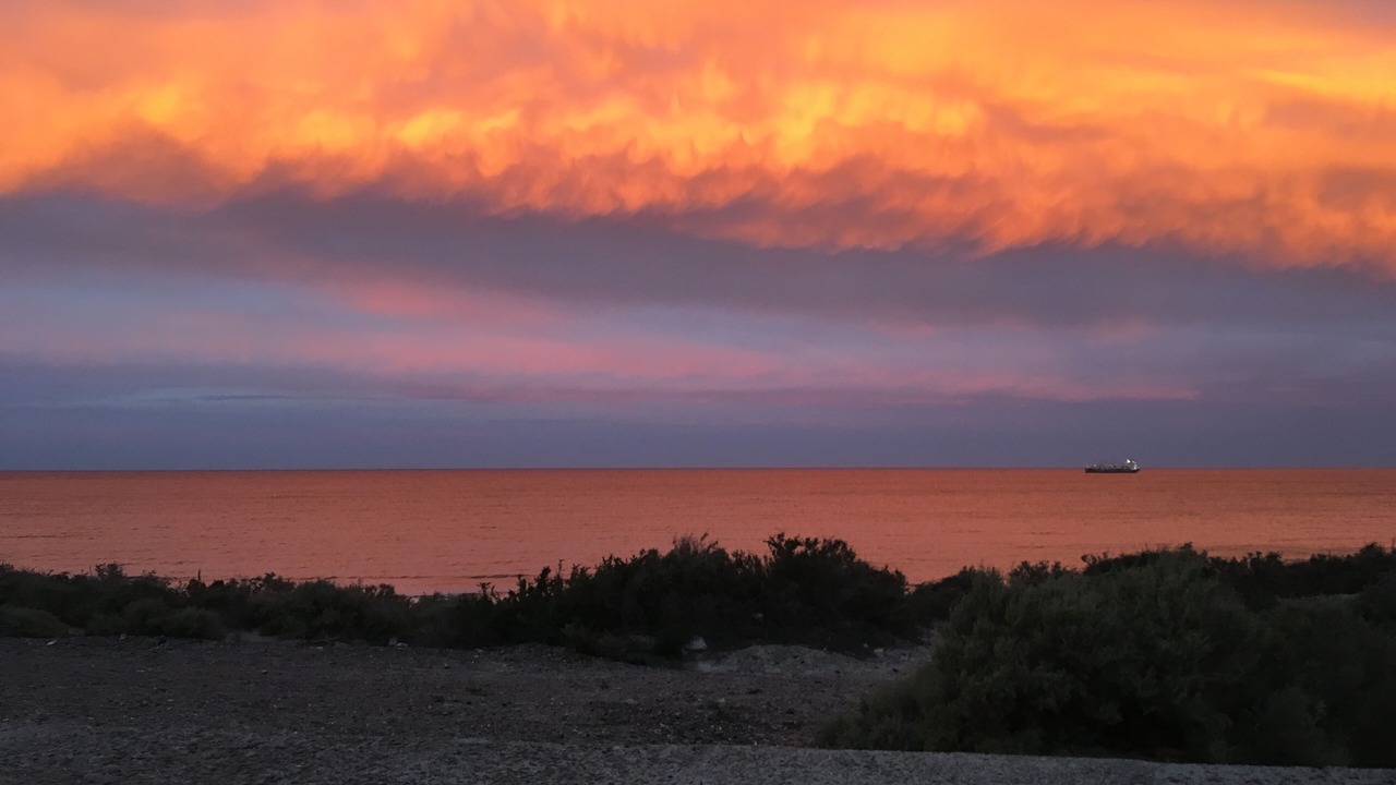 Photo of Others in Puerto Madryn