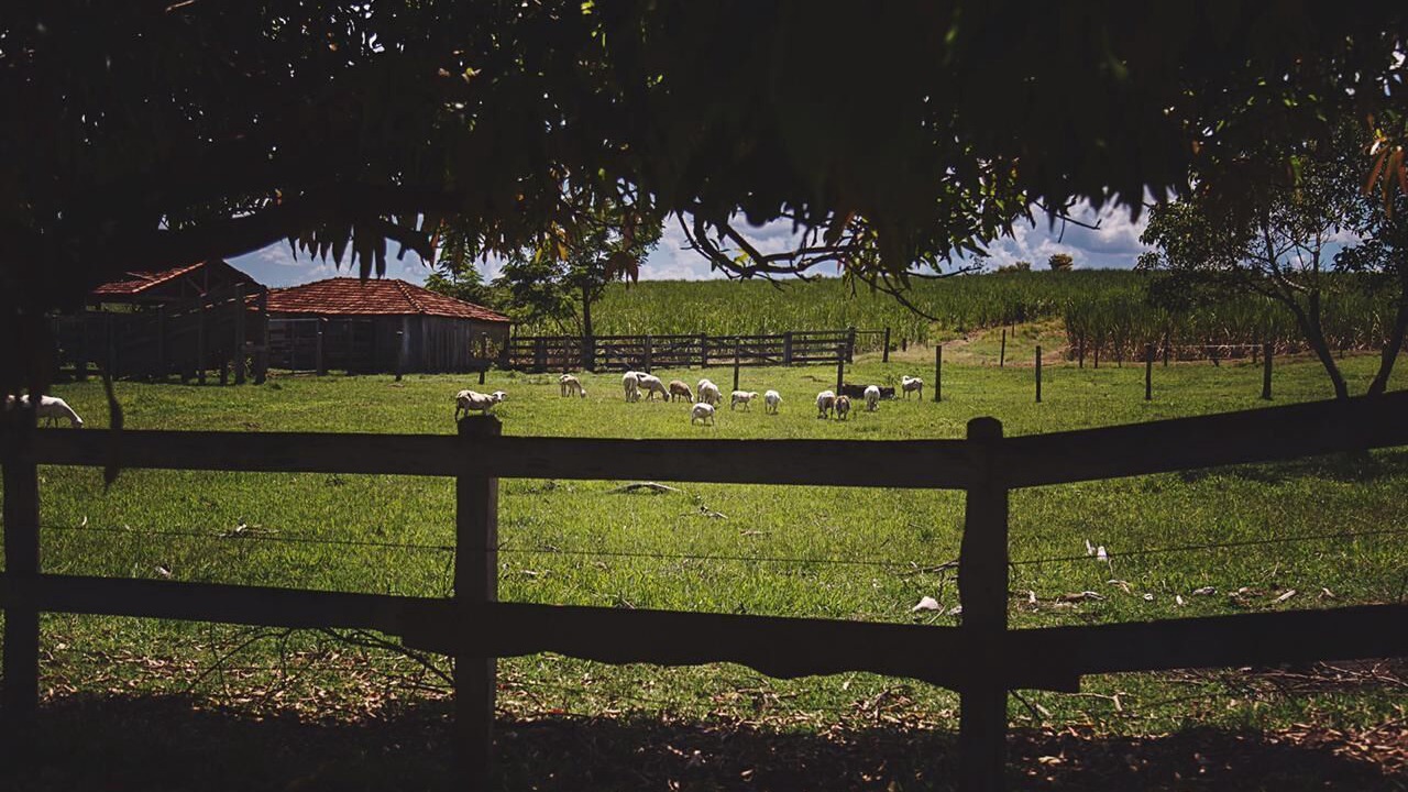 Photo of Outdoor in Brotas