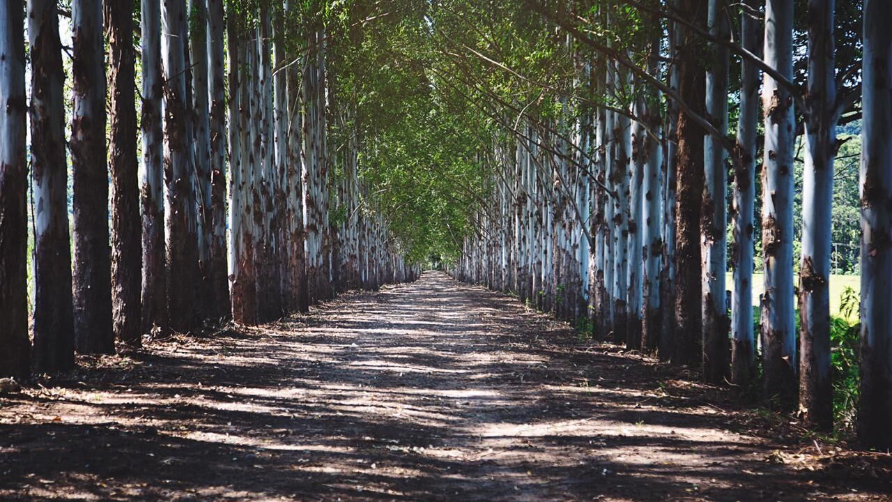Photo of Outdoor in Brotas