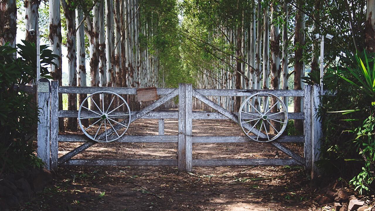Photo of Outdoor in Brotas