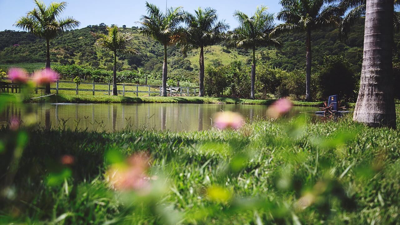 Photo of Outdoor in Brotas