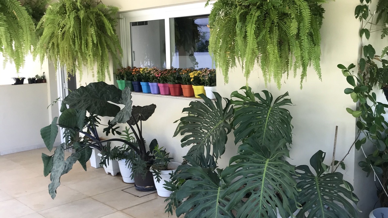 Photo of Outdoor in Itapetinga