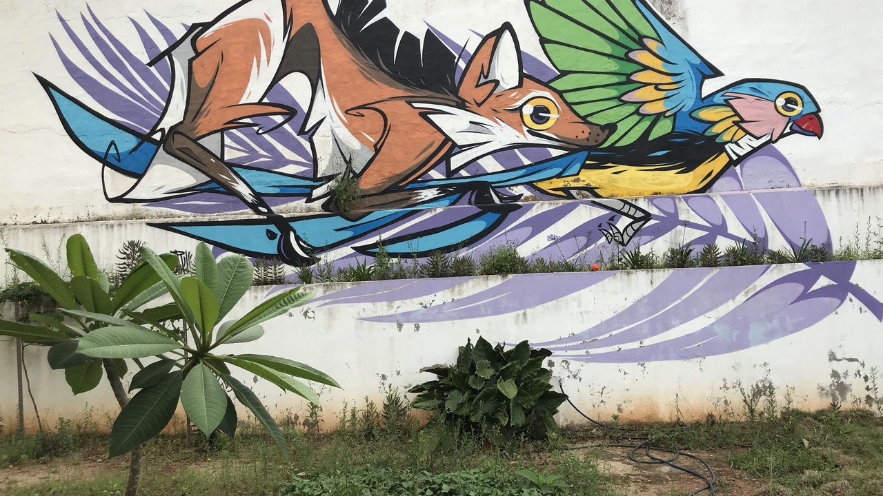 Photo of Outdoor in Itapetinga
